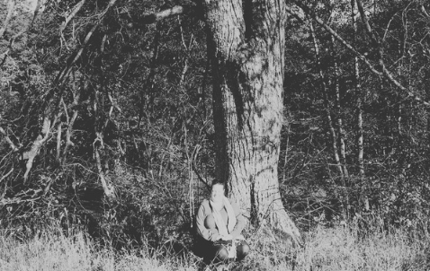 Laurafay_LithuaniaTree