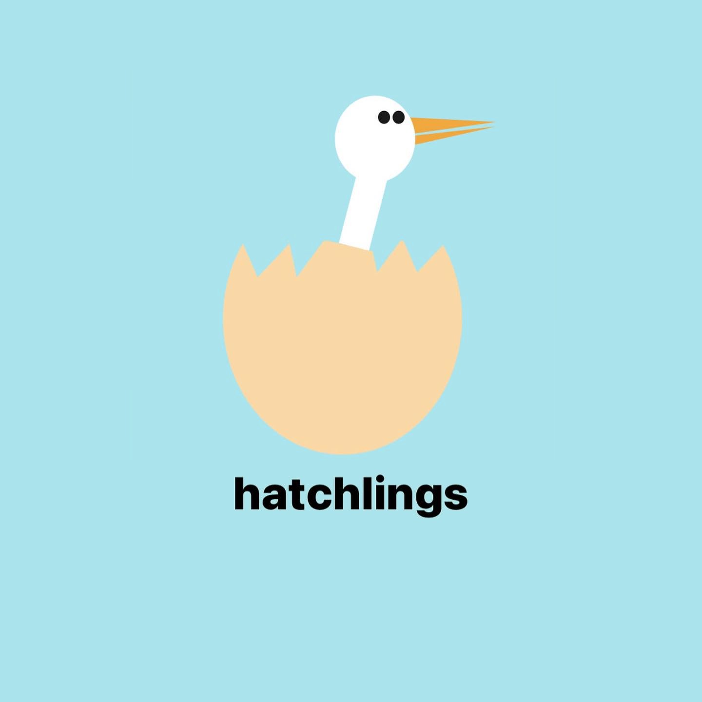 Hatchlings